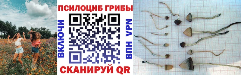 Галлюциногенные грибы прущие грибы Котельнич